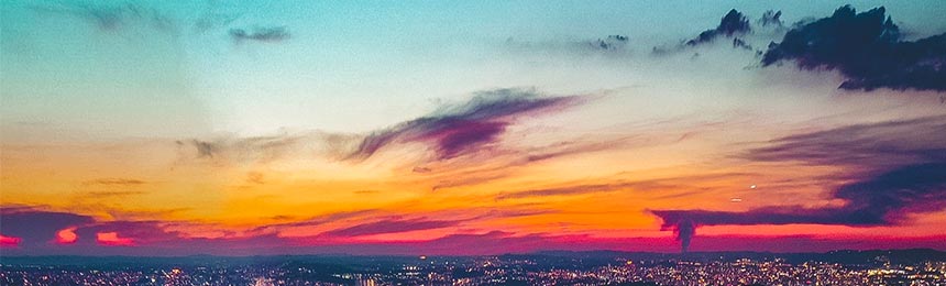 平湖茶虫网_平湖品茶